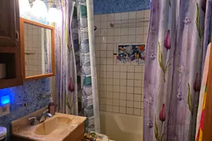 17053 Lorenz Ave, Lansing, IL 60438 - Photo 4