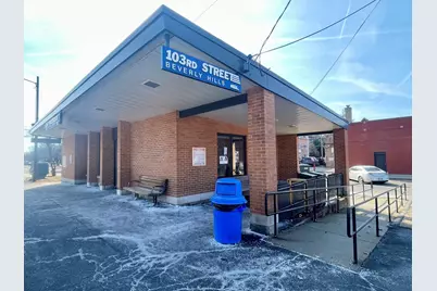 1039 W 103rd Street, Chicago, IL 60643 - Photo 42