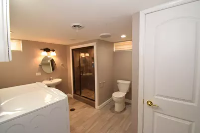 477 W Spring Street, South Elgin, IL 60177 - Photo 18