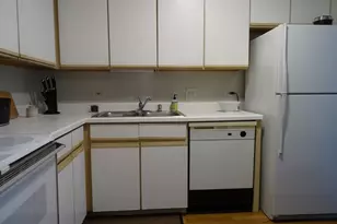 440 N McClurg Ct, Chicago, IL 60611 - Photo 10