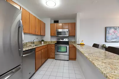 33 E Cedar Street #15F, Chicago, IL 60611 - Photo 14