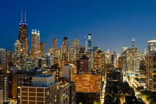 88 W Schiller St, Chicago, IL 60610 - Photo 34