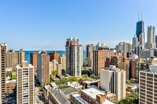 88 W Schiller St, Chicago, IL 60610 - Photo 8