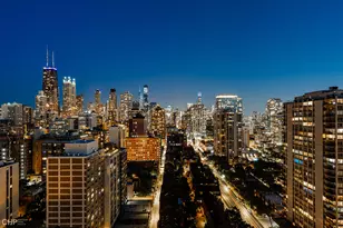 88 W Schiller St, Chicago, IL 60610 - Photo 30