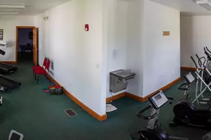 10851 La Costa LN, Frankfort, IL 60423 - Photo 44