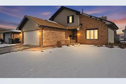 19913 Arroyo Avenue, Lynwood, IL 60411 - Photo 1