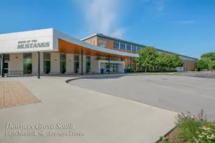 [Address not provided], Downers Grove, IL 60516 - Photo 28