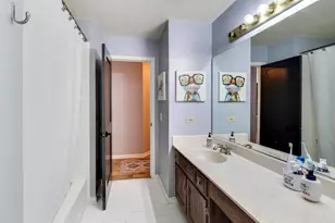 673 N Newkirk Ln, Palatine, IL 60074 - Photo 30