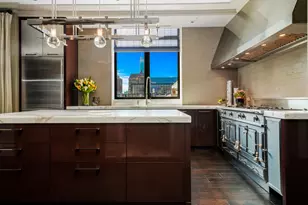 10 E Delaware Pl, Chicago, IL 60611 - Photo 4