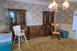 1663 E Rietveld Dr, Crete, IL 60417 - Photo 26