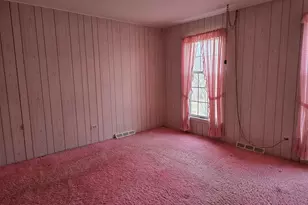 1663 E Rietveld Dr, Crete, IL 60417 - Photo 44