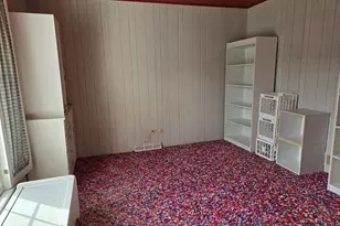 1663 E Rietveld Dr, Crete, IL 60417 - Photo 52
