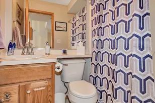 1 Hilgert Ct, Grant Park, IL 60940 - Photo 24