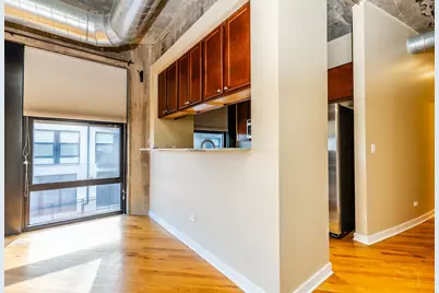 1150 W 15th Street #201, Chicago, IL 60608 - Photo 12