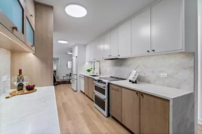 39 E Schiller Street #1E, Chicago, IL 60610 - Photo 8