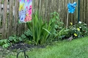 2323 Clyde Terrace, Homewood, IL 60430 - Photo 22