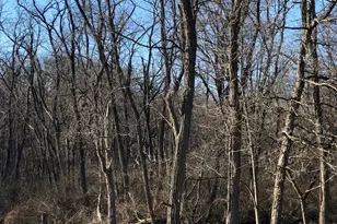 12940 Hadley #3 Hadley Rd, Homer Glen, IL 60491 - Photo 1