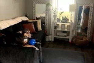 7240 107th Street W, Worth, IL 60482 - Photo 6