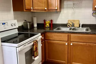 315 Des Plaines Ave, Forest Park, IL 60130 - Photo 10