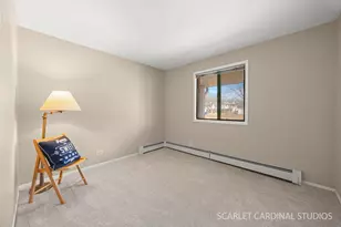 465 Echo Ln, Aurora, IL 60504 - Photo 10