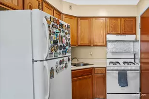 505 Ryan Ln, West Dundee, IL 60118 - Photo 16