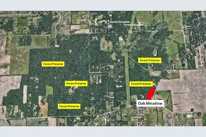 12934 Hadley #4 Hadley Street, Homer Glen, IL 60491 - Photo 4