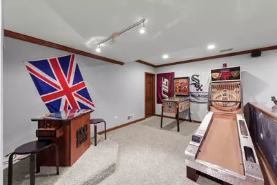 5719 Rosinweed Lane, Naperville, IL 60564 - Photo 42