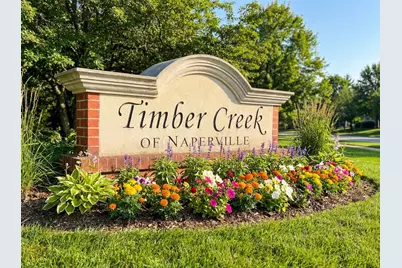 3520 Timber Creek Lane, Naperville, IL 60565 - Photo 50