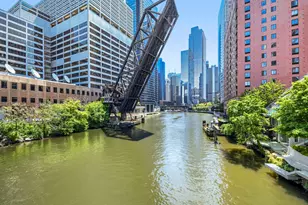 481 N Clinton St, Chicago, IL 60654 - Photo 34