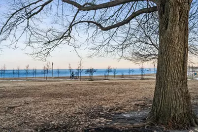 3817 S Ellis Avenue #302, Chicago, IL 60653 - Photo 14