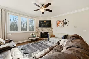 388 Preserve Ln, Wood Dale, IL 60191 - Photo 4