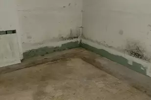 213 S Summit St, Wheaton, IL 60187 - Photo 28