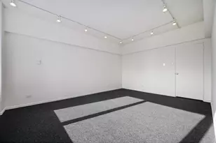 175 E Delaware Pl, Chicago, IL 60611 - Photo 10