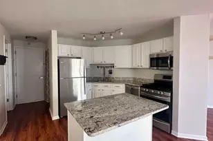 545 N Dearborn St, Chicago, IL 60654 - Photo 4