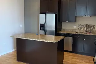 1464 S Michigan Ave, Chicago, IL 60605 - Photo 4