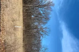 Lot 130 & Lot 131 Chippewa Trail, Albany, IL 61230 - Photo 6