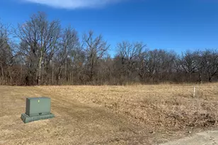 Lot 130 & Lot 131 Chippewa Trail, Albany, IL 61230 - Photo 8