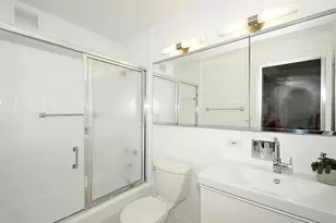 70 W Burton Pl, Chicago, IL 60610 - Photo 10