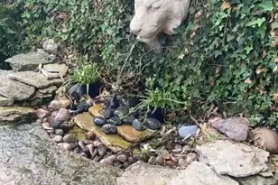 31 Roosevelt St, Saint Charles, IL 60174 - Photo 30