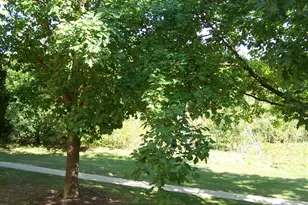 4302 W Shamrock Ln, McHenry, IL 60050 - Photo 2