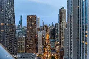 950 N Michigan Ave, Chicago, IL 60611 - Photo 6