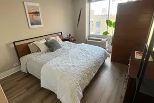 450 W Briar Pl, Chicago, IL 60657 - Photo 6