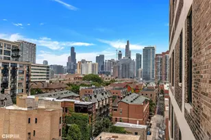 320 E 21st St, Chicago, IL 60616 - Photo 20