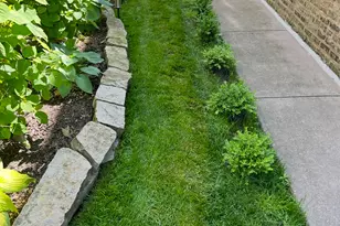 323 Sherman Ave, Evanston, IL 60202 - Photo 40