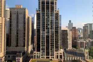 1030 N State St, Chicago, IL 60610 - Photo 6