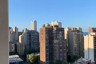 1030 N State St, Chicago, IL 60610 - Photo 8