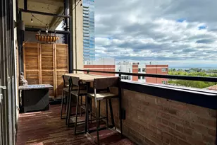 320 E 21st St, Chicago, IL 60616 - Photo 16