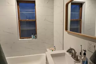 1133 N Winchester Ave, Chicago, IL 60622 - Photo 6