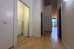 320 E 21st St, Chicago, IL 60616 - Photo 4