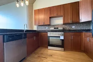 320 E 21st St, Chicago, IL 60616 - Photo 8